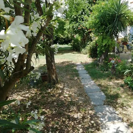 Chambre d'Hôte - Mas Le Barret-2