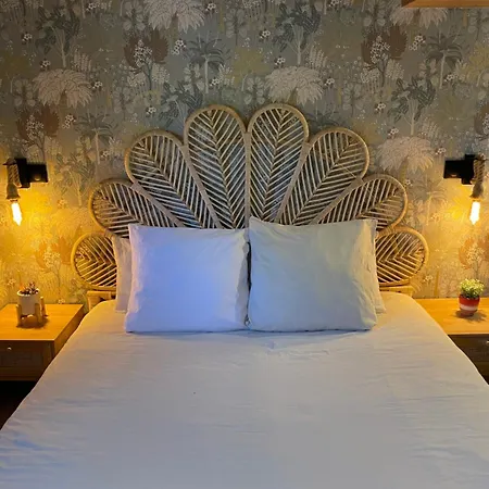 Péniche Le Pescalune - Chambre d'hôtes-2